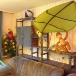 IMG-20140826-WA0014-6