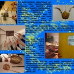 Faschingsmeetmicollage komp