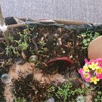 Ostergarten Ausschnitt_C_Kicherer